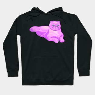 Pink Cat Hoodie